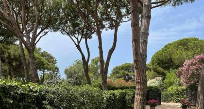 The Ancient Farmhouse of the 1800s