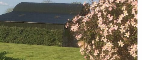 Área da propriedade