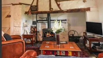 TV, fireplace, books, stereo