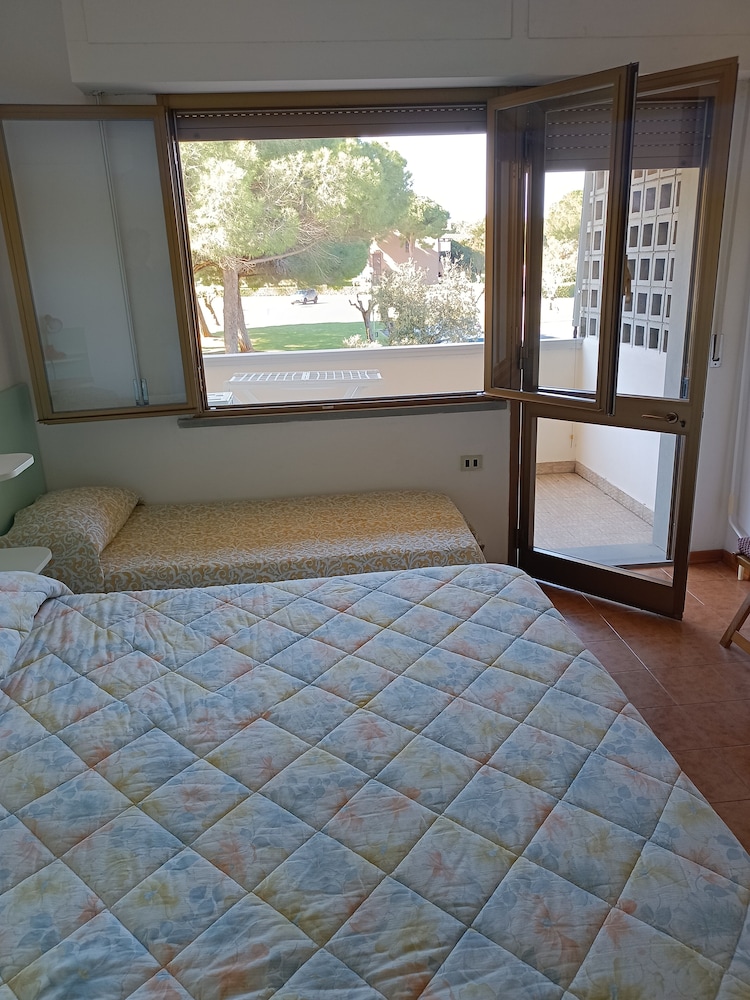 Bibbona Summer - Center - Cecina