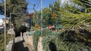 A pathway leading through a garden with various plants and a stone wall. - Vacation Home Lu Ientu Torre Vado (Torre vado)