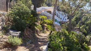 A white building with a stone pathway leading to it, surrounded by trees and vegetation.