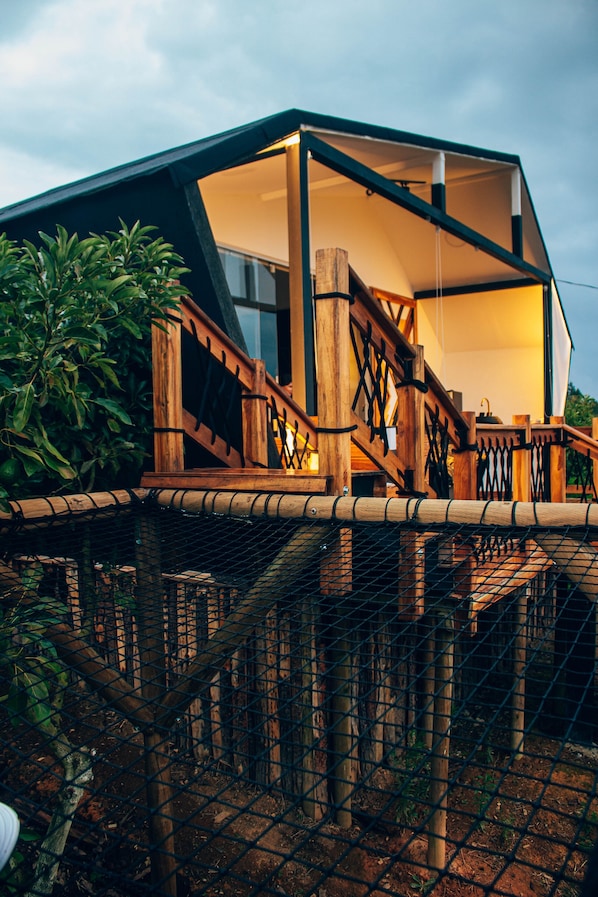 Televisión de pantalla plana, Netflix, servicios de streaming