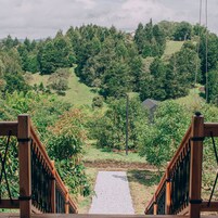Vista desde la habitación