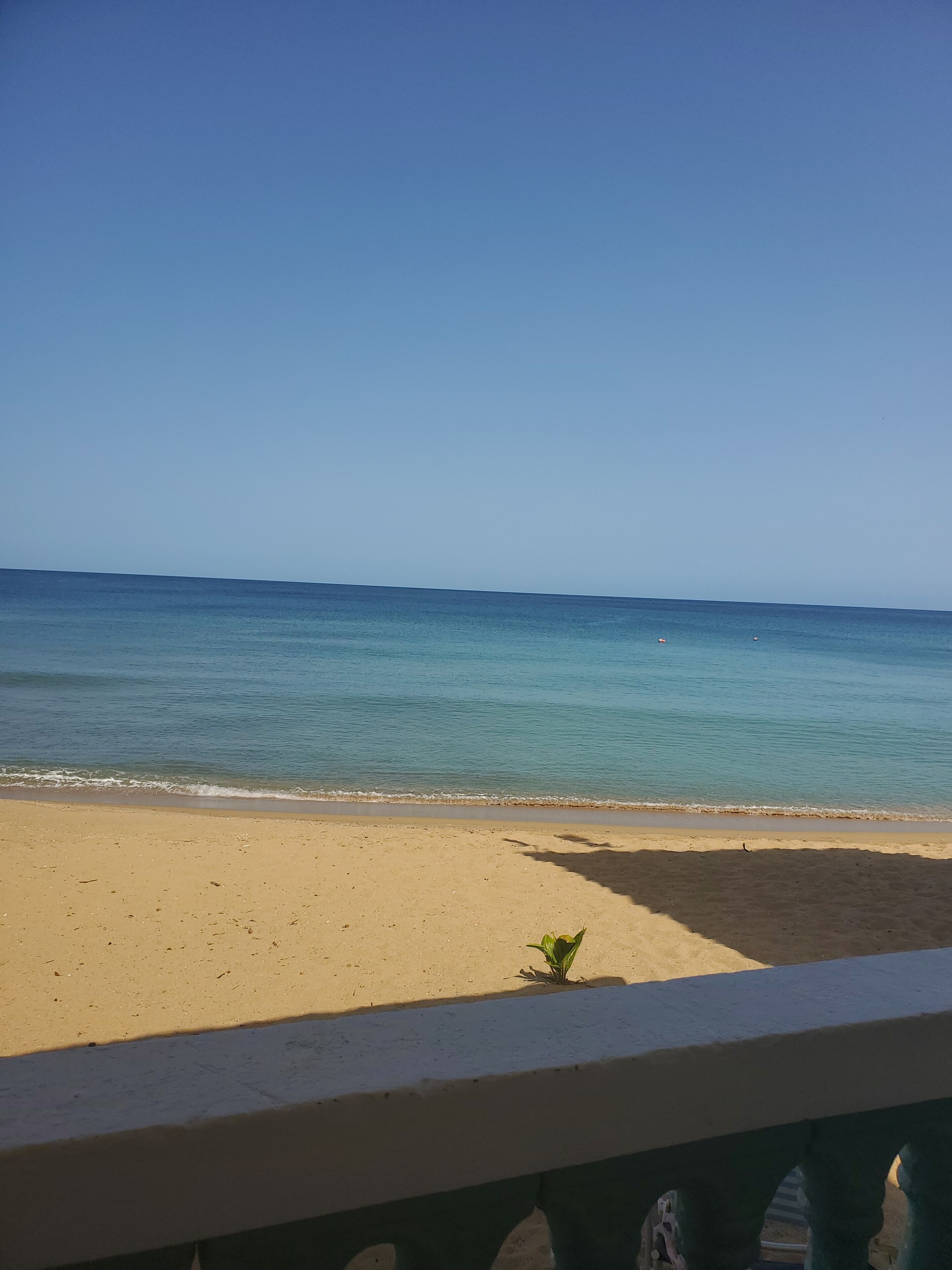 Une plage offrant une vue dégagée sur l’océan et bordée d’un rivage sablonneux.