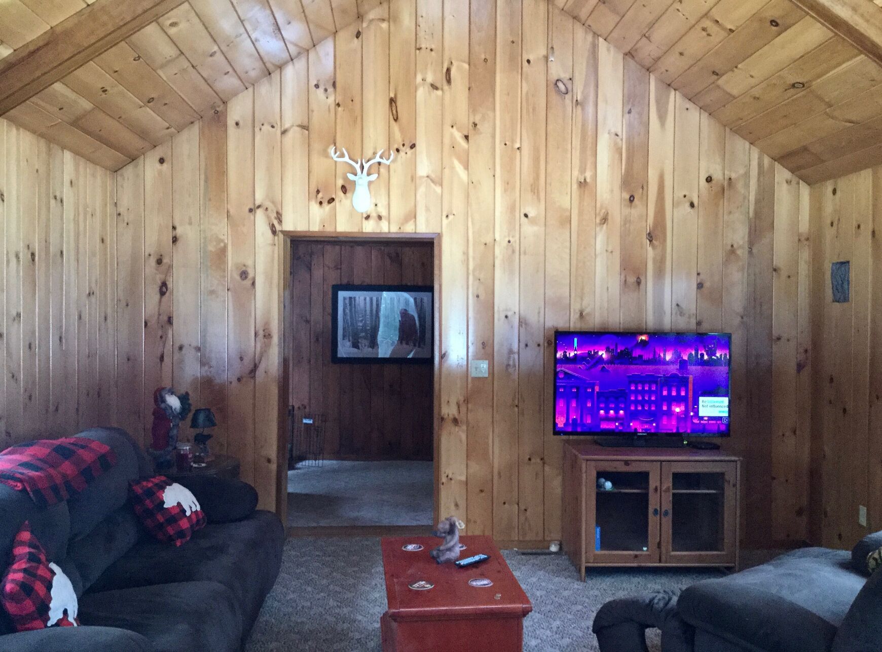Adirondack 4 bedroom Spacious Cabin, beautiful stone fireplace