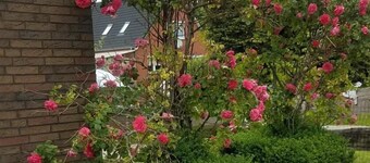 Vacation apartment Aurich East Frisia