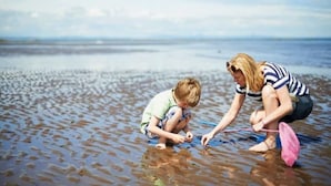 A beach scene with two people playing in shallow water.