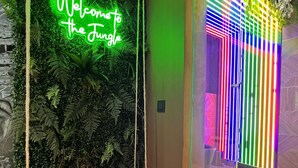 Une pièce avec un panneau lumineux au néon sur lequel on peut lire « Bienvenue dans la jungle », un banc en bois et un mur orné de bandes lumineuses verticales.