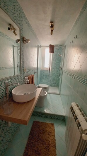 Shower, hair dryer, bidet, soap