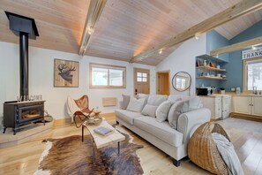 Televisión, chimenea y libros 