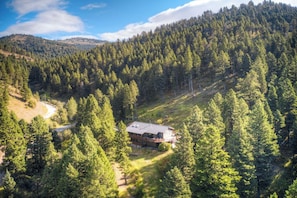 Una cabaña rodeada de un bosque frondoso, con un camino sinuoso que la lleva.