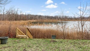 Un muelle de madera que conduce a un lago tranquilo rodeado de altas cañas y árboles.