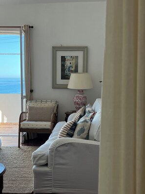 Smart TV, lareira, livros