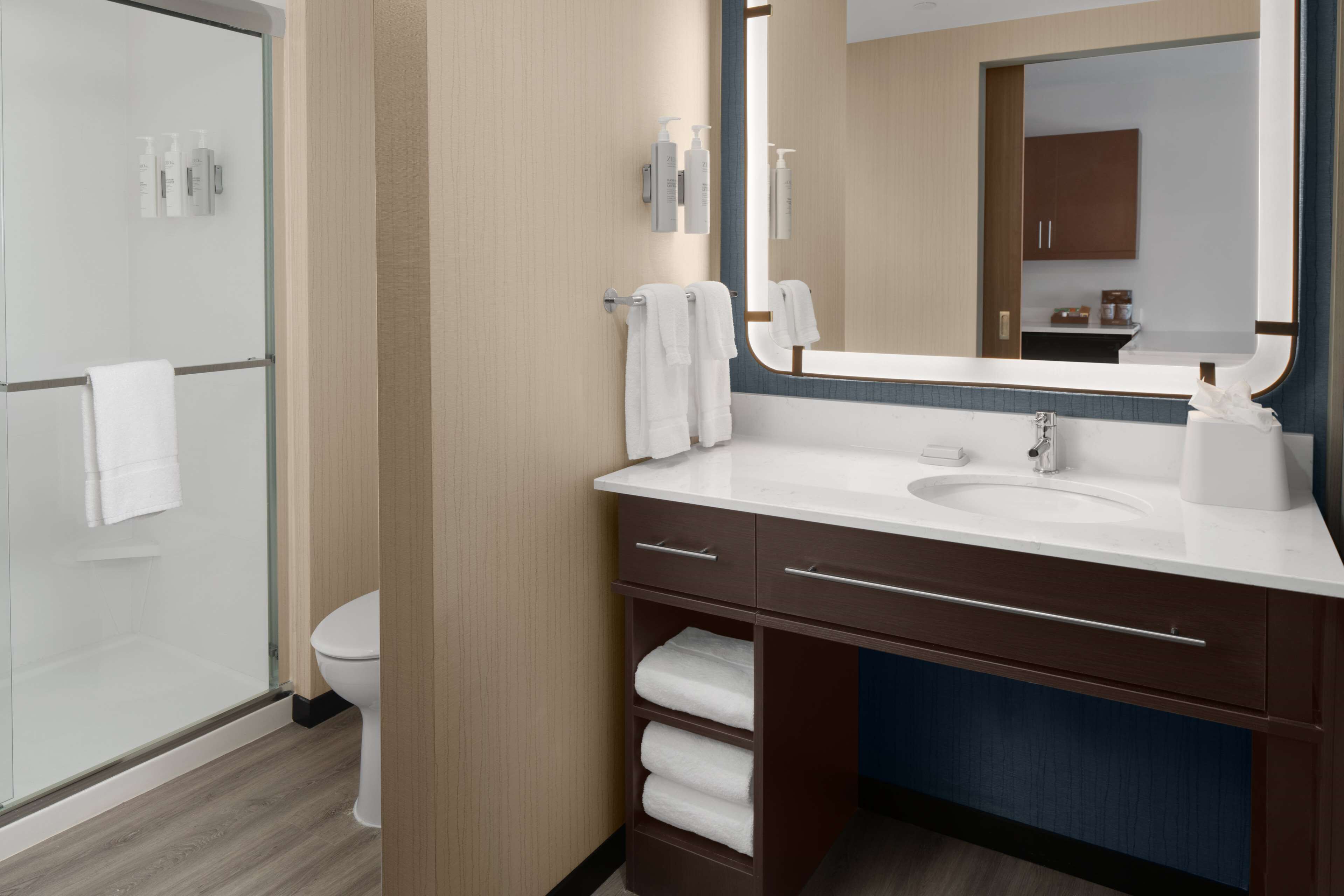 A modern bathroom with a glass shower enclosure, a white toilet, a vanity with a sink and towel rack, and a large mirror.