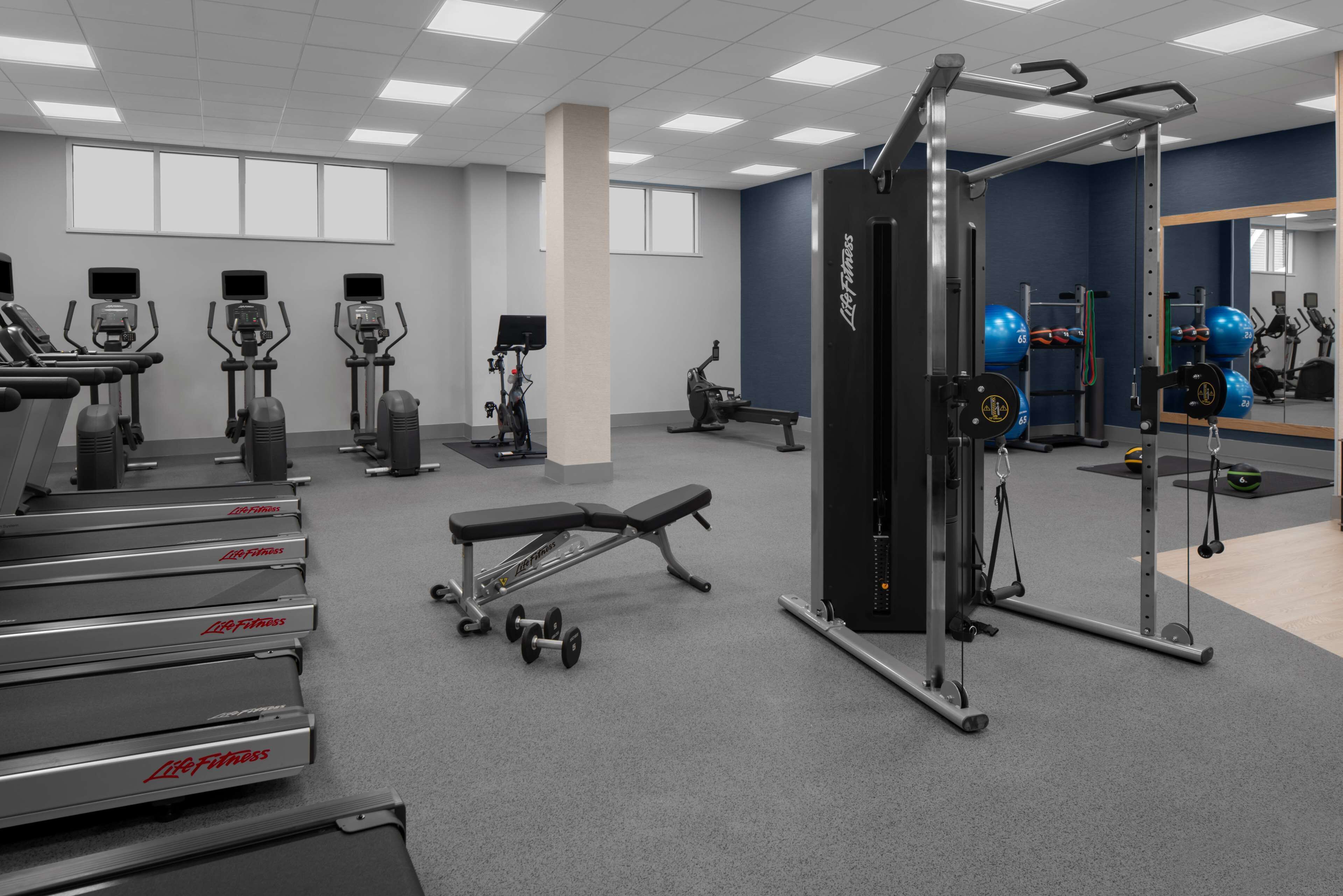 A gym with treadmills, elliptical machines, a bench, and weightlifting equipment.