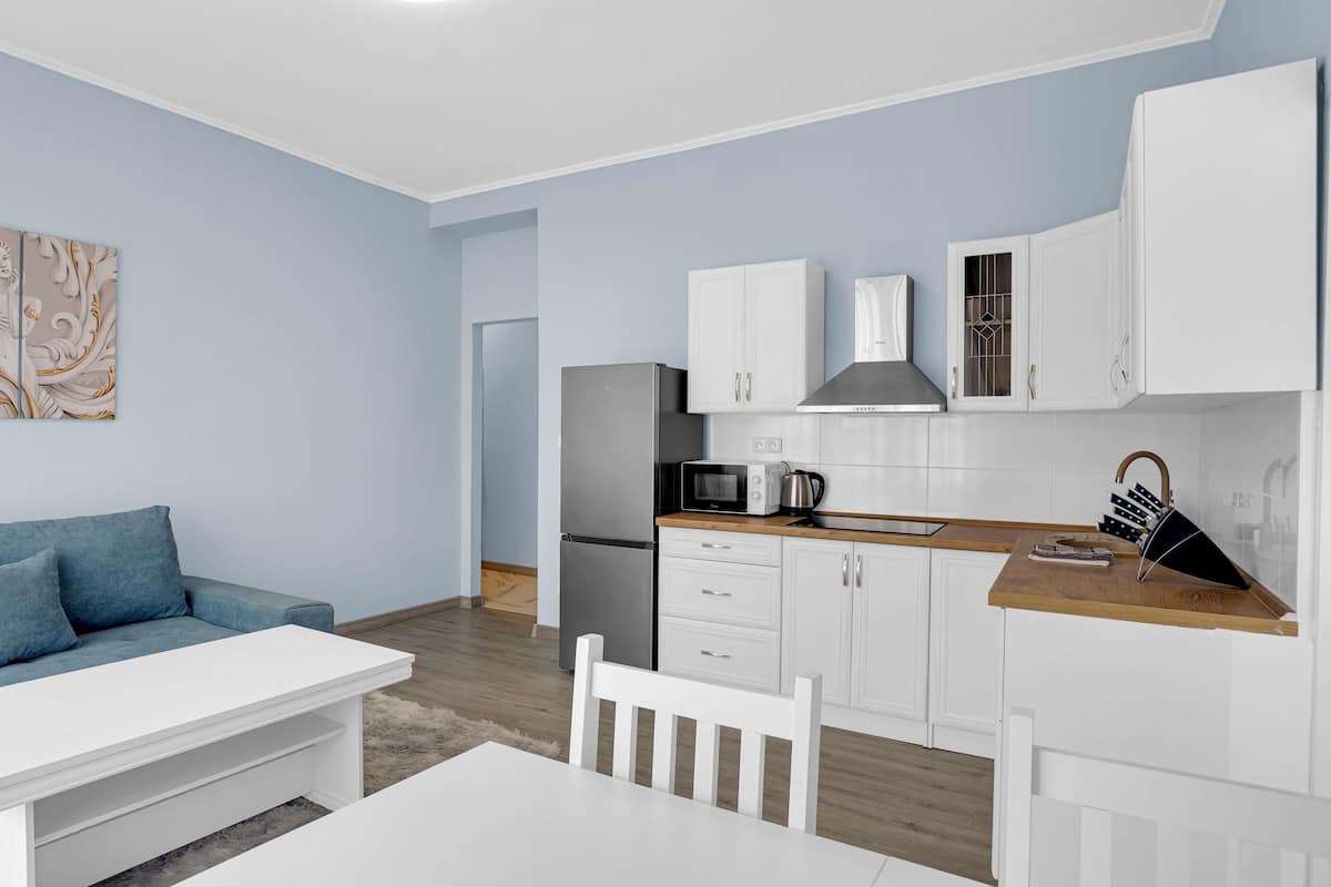 Deluxe Apartment, Balcony | Private kitchen | Full-sized fridge, microwave, stovetop, electric kettle