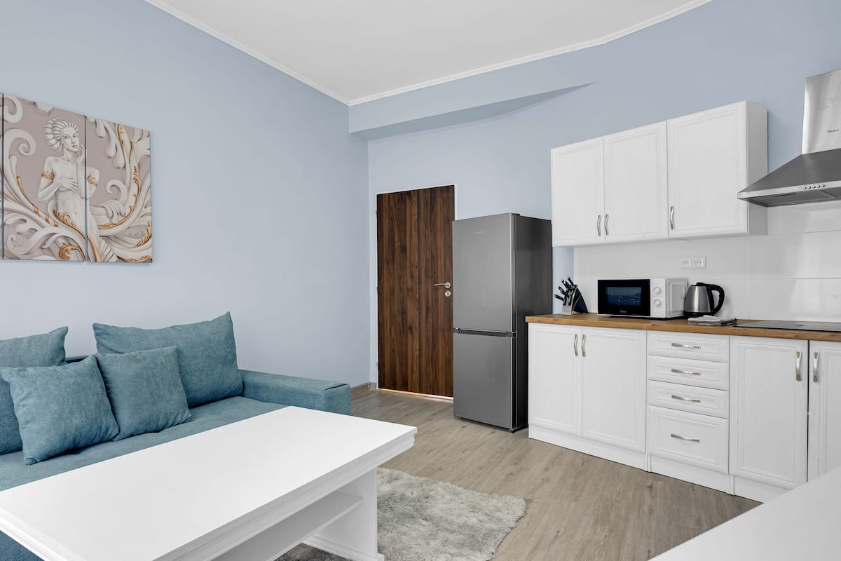 Deluxe Apartment | Private kitchen | Full-sized fridge, microwave, stovetop, electric kettle