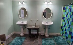 Shower, hair dryer, bidet, towels