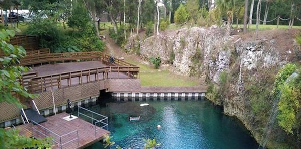 A swimming pool with a wooden deck and a small boat. - Willis Oaks Country Cottage (Levy County)