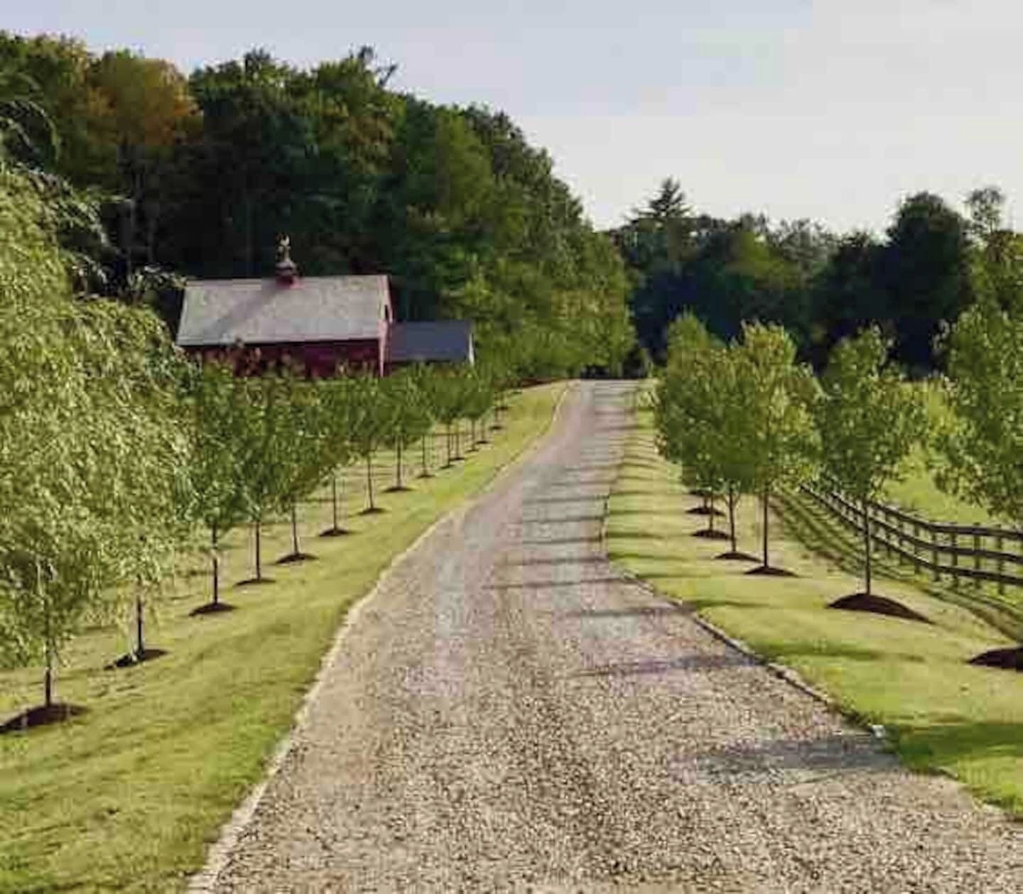 A gravel path leading to a red building with a sloped roof, surrounded by young trees and a wooden fence.