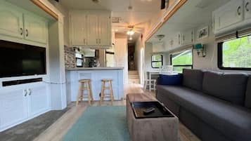 Smart TV, chimenea, libros