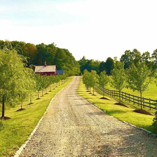 When you are staying at the Lakehouse, we insist on you visiting us at June Farms, you will love it! 