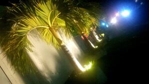 A night scene with a palm tree and a building. - Randima Hotels (Negombo)