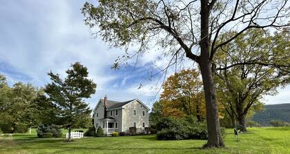 Canopy Lane Guest House