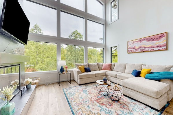 Televisio, takka, videopelejä, kirjoja