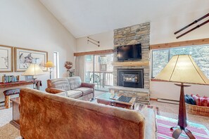 TV, fireplace, DVD player, video library