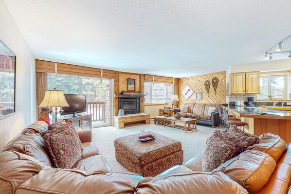 TV, fireplace, DVD player, video library