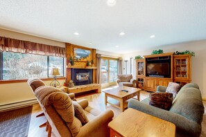 TV, fireplace, DVD player, video library