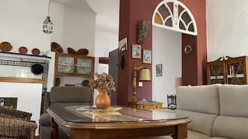 Smart TV, lareira, livros, biblioteca musical
