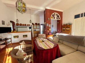 TV connectée, cheminée, livres, médiathèque