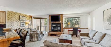 Fernseher, Kamin, DVD-Player, Videothek