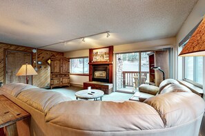 TV, fireplace, DVD player, books