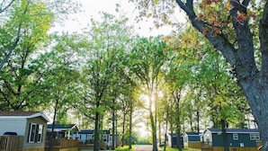 A residential area with multiple houses, a gravel driveway, and trees. - Falcon Cottages (Niagara-on-the-Lake)