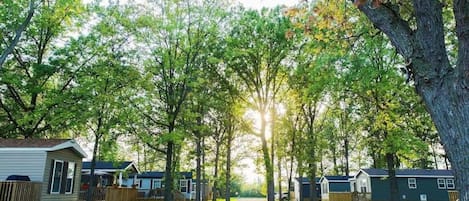 A residential area with multiple houses, a gravel driveway, and trees.