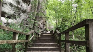 A wooden staircase leading up a rocky cliff, surrounded by lush greenery. - Stylish Queen Suite Near SIU Carbondale (Carbondale)