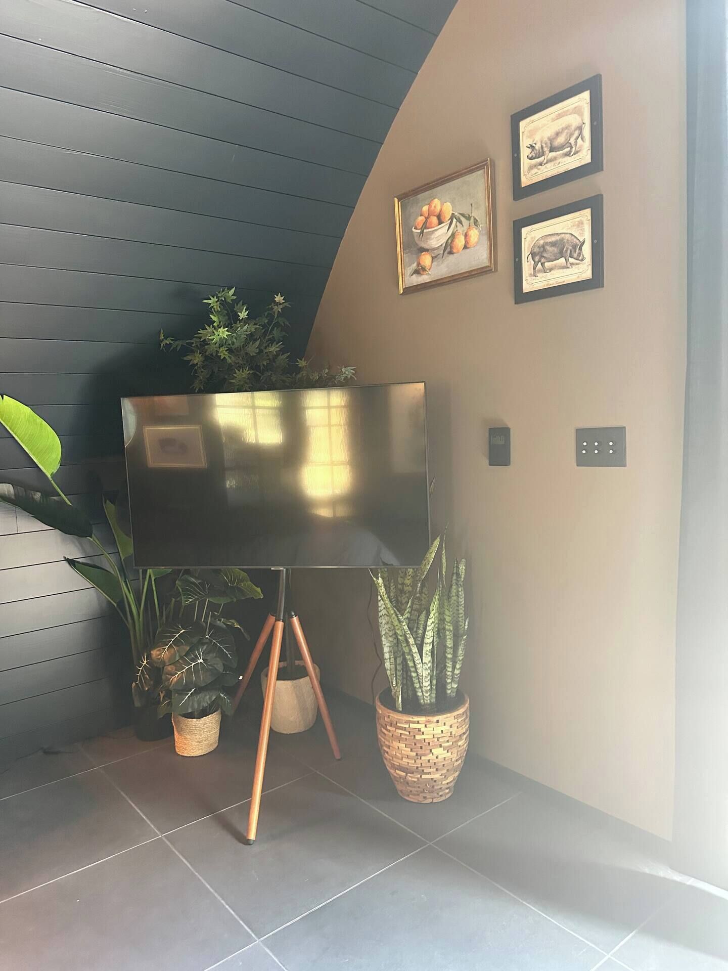 A modern living room with a large flat-screen TV on a stand, surrounded by potted plants, and framed artwork on the wall.