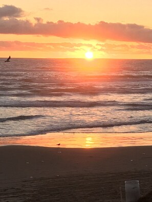 På stranden, badehåndklæder