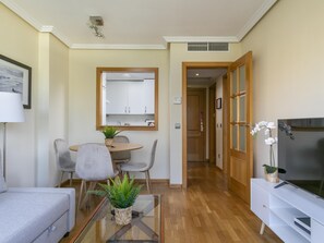 TV - Nuevo Madrid - One-bedroom apartment (Madrid)