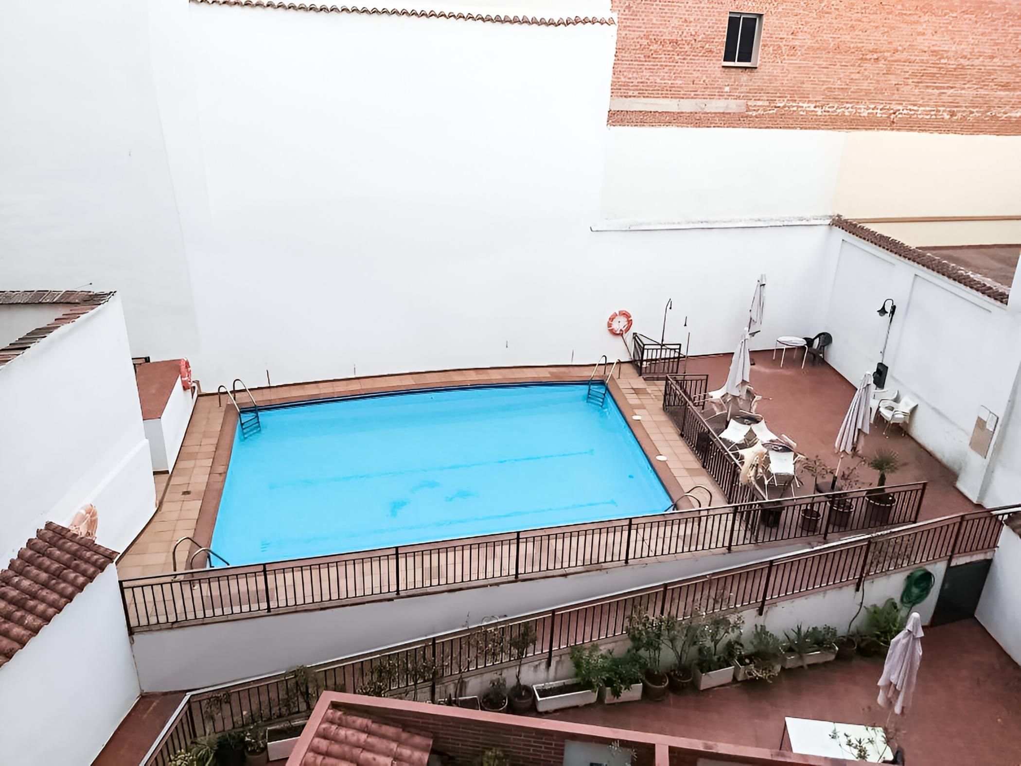 Una piscina en la azotea con barandilla metálica, rodeada de plantas en macetas y mobiliario de exterior.
