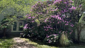 DĂ©tail de lâextĂ©rieur