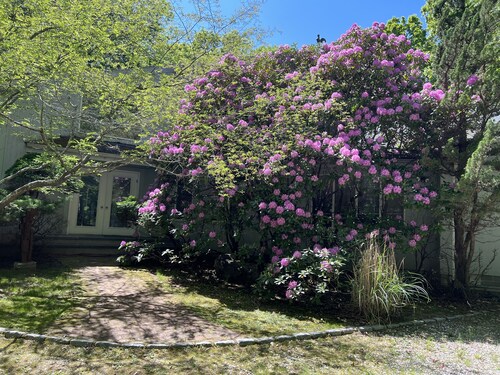 Fabulous familly villa in East hampton village fringe