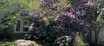 Fabulous familly villa in East hampton village fringe