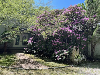 Fabulous familly villa in East hampton village fringe