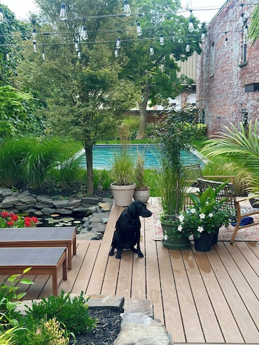 Stunning Bungalo-style Loft in Albany's Warehouse District!