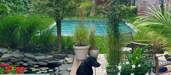 Stunning Bungalo-style Loft in Albany's Warehouse District!